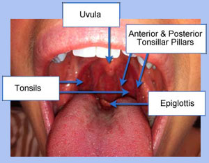 Mark Deutchman, MD