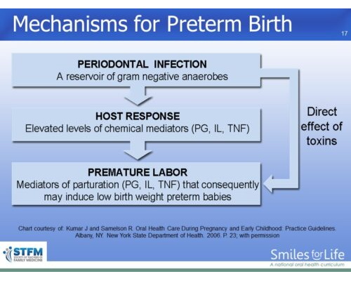Module 5 Slide 17