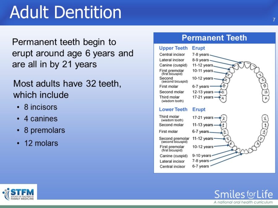 Module 5 Slide 7