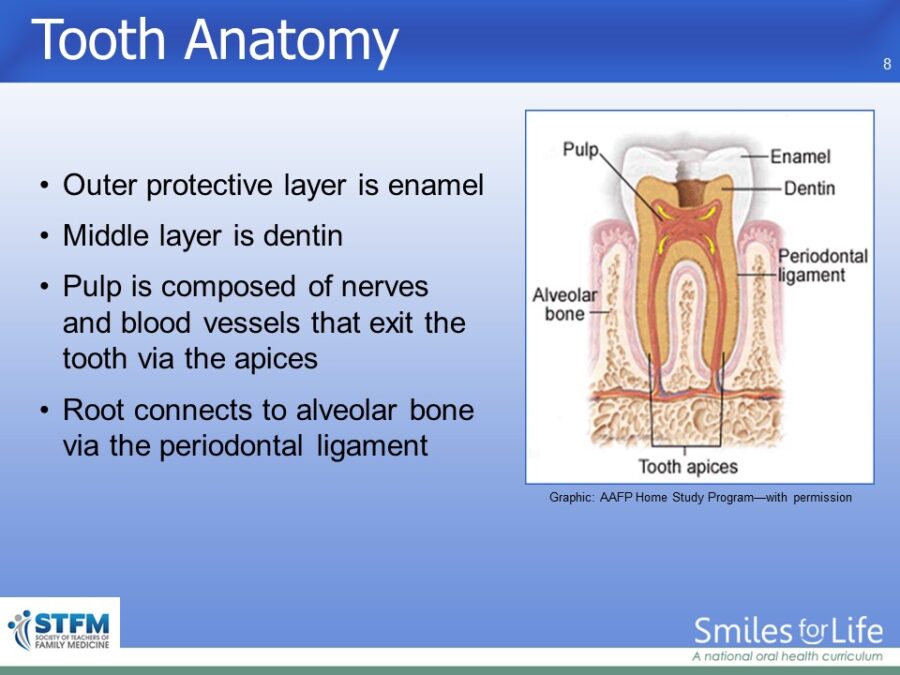 Module 5 Slide 8