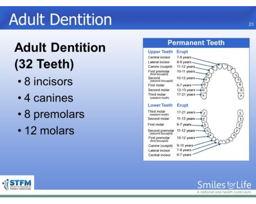 Module 7 Slide 23