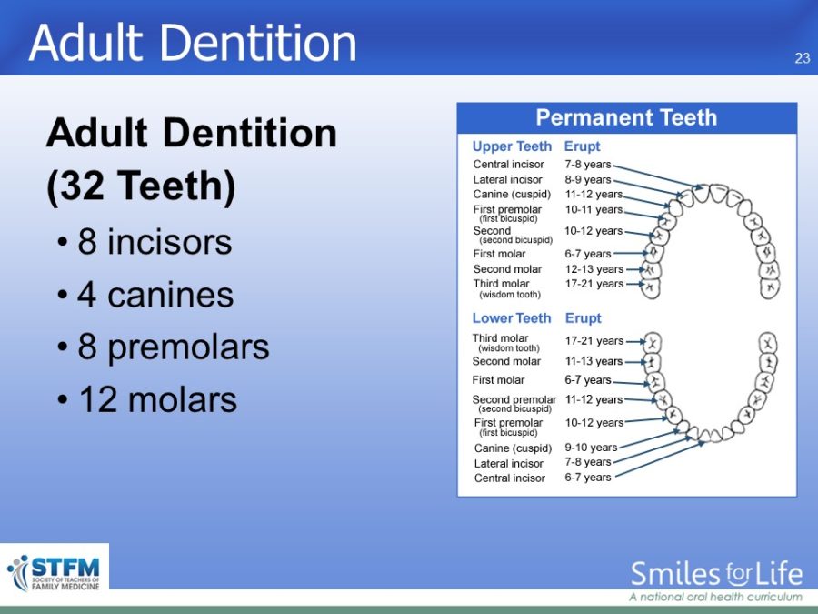 Module 7 Slide 23