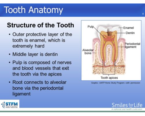 Module 7 Slide 4