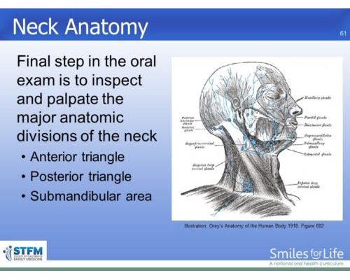 Module 7 Slide 61