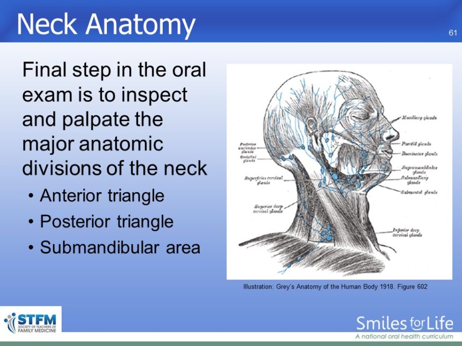 Module 7 Slide 61