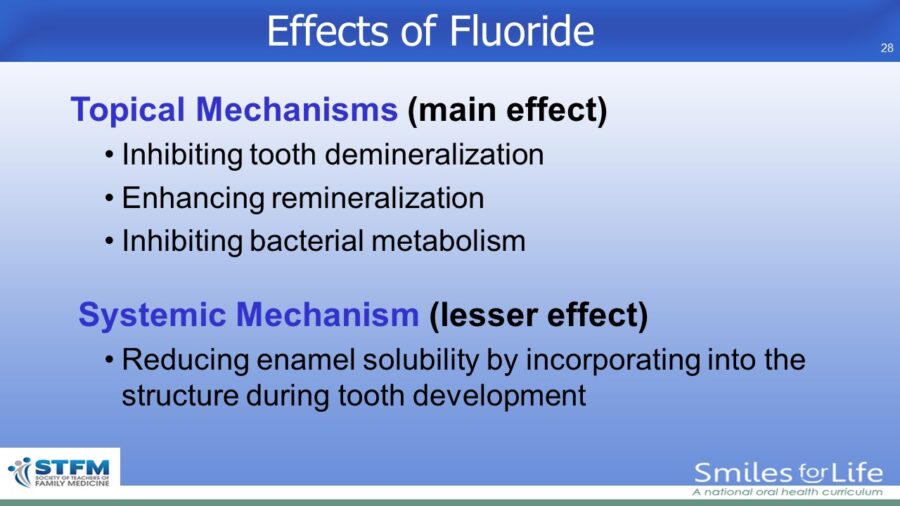 Module 2 Slide 28