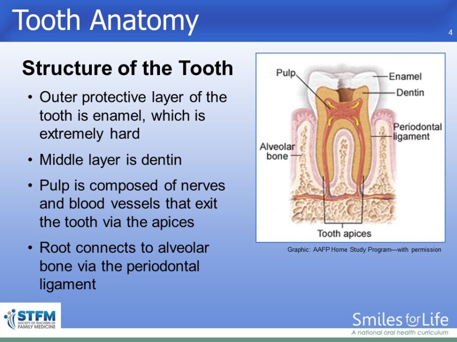 Module 7 Slide 4