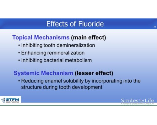 Module 2 Slide 28