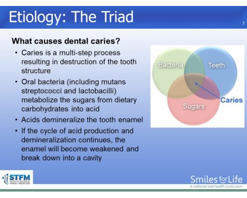 Module 6 Slide 7