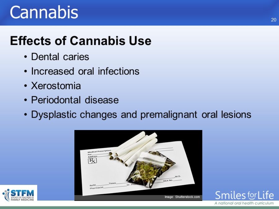 Module 3 Slide 20