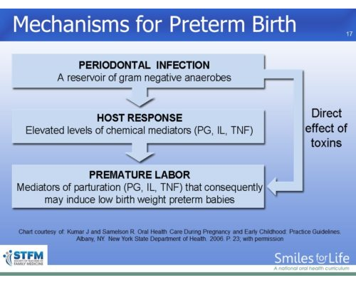 Module 5 Slide 17