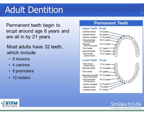 Module 5 Slide 7