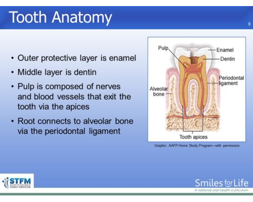 Module 5 Slide 8