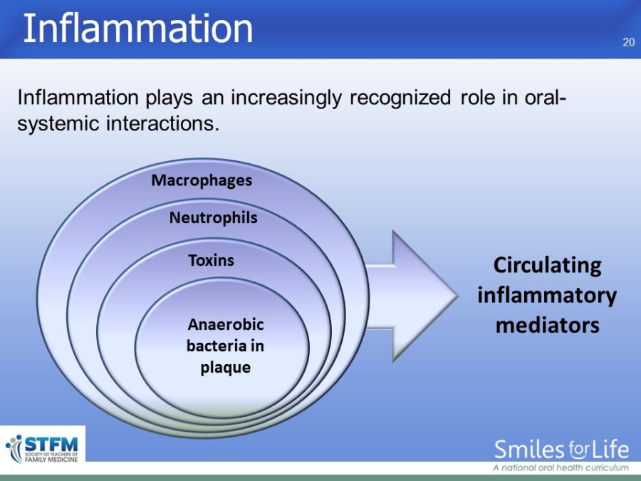 Module 1 Slide 20